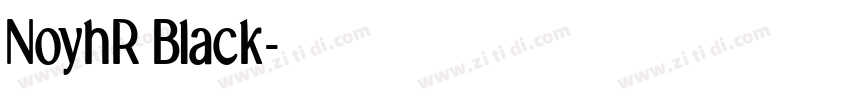 NoyhR Black字体转换 NoyhR Black字体转换